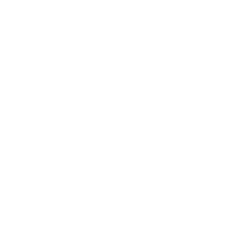 M-Pesa